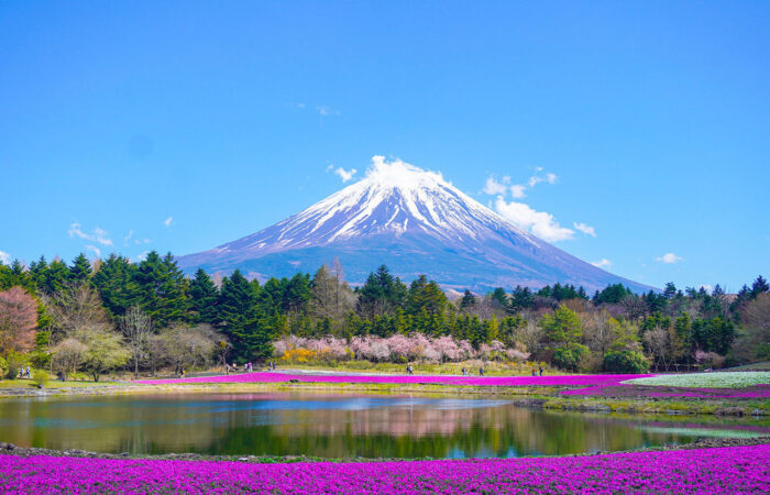 mount-fuji-lake