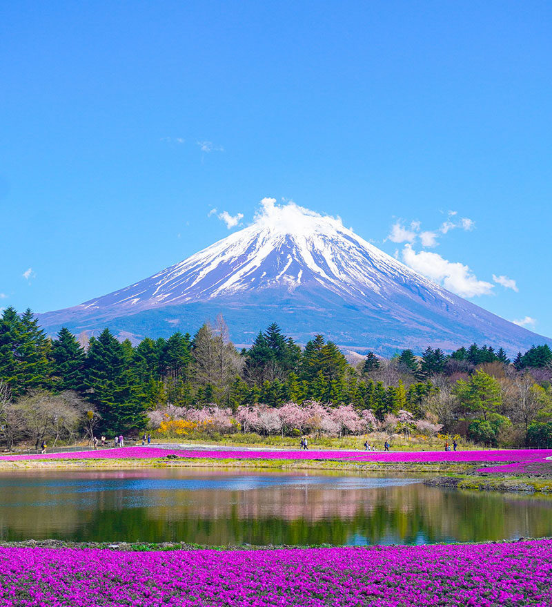 mount-fuji-lake