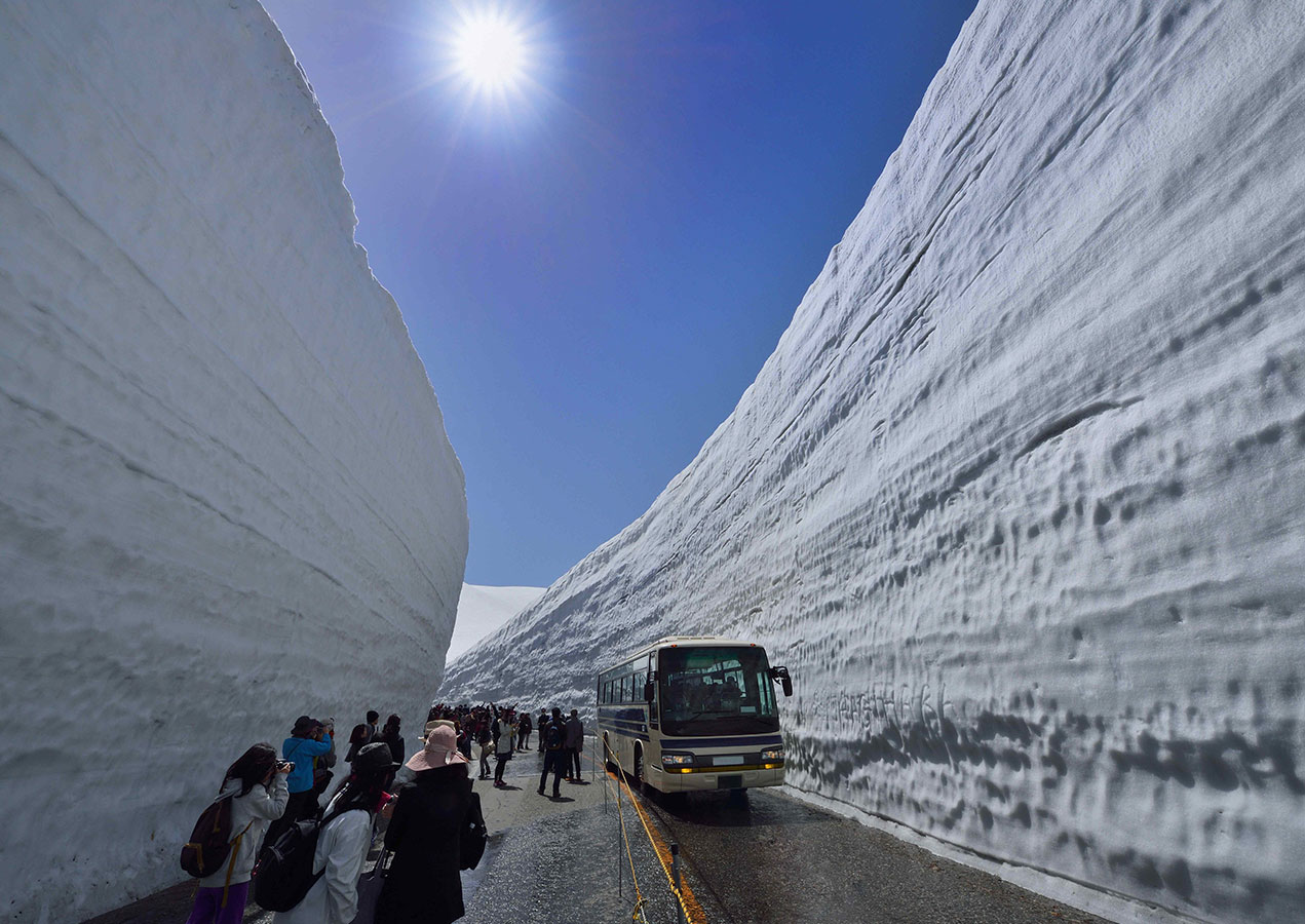 Alpine-Bus-Tour-from-Osaka
